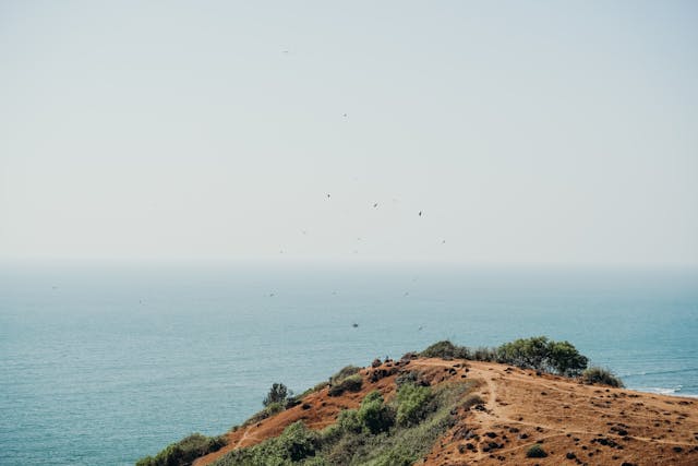 cola-beach-goa